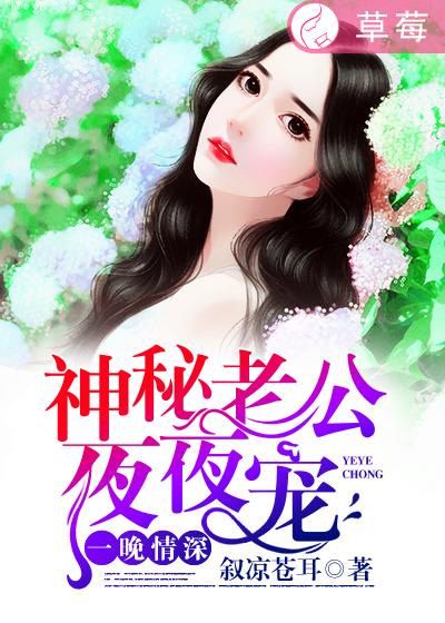 一夜蜜婚:神秘老公宠入怀免费阅读