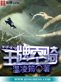 王牌空战图片高清