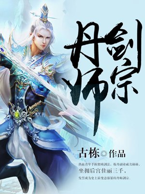 丹师剑宗顶点小说