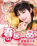 一品将军锦绣妻 小说