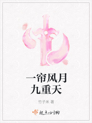 一帘风月九重天讲的啥