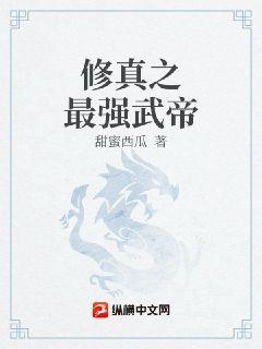 最强武帝系统全文阅读