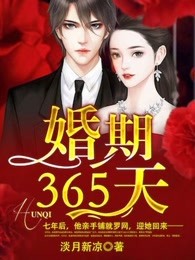 婚期365天全文免费阅读小说1768