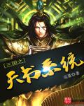 三国战记2007无限气版