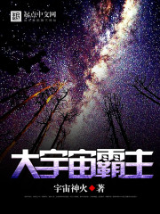 大宇宙辰东正版阅读