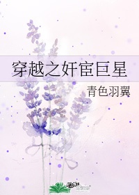 乐坛巨星穿越小说