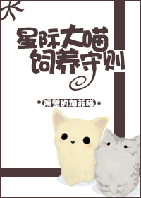 星际喵猫粮购买