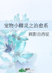 《宠物小精灵之治愈系》