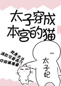 《太子穿成本宫的猫》