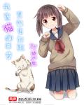 猫咪日常图片