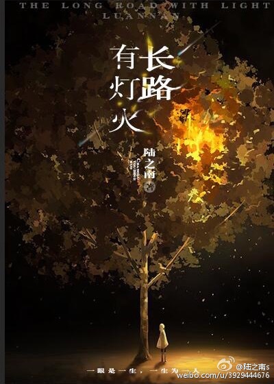 《长路有灯火》 作者:陆之南