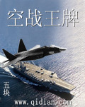 psv王牌空战