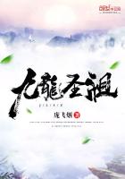 九龙圣祖百度