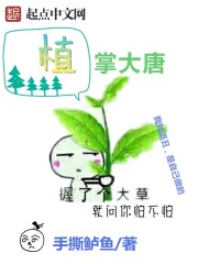 洛少爷是小学生吗