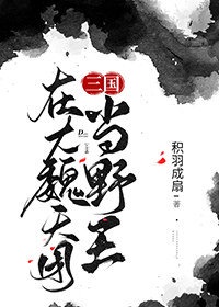 在大魏天团当野王 26