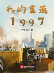 重返2008小说下载