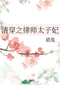 清穿之律师太子妃百度云网盘