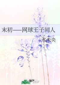 新网球王子吧