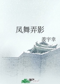 凤舞 战雪