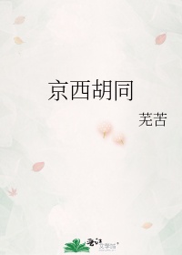 京西胡同全文无防盗