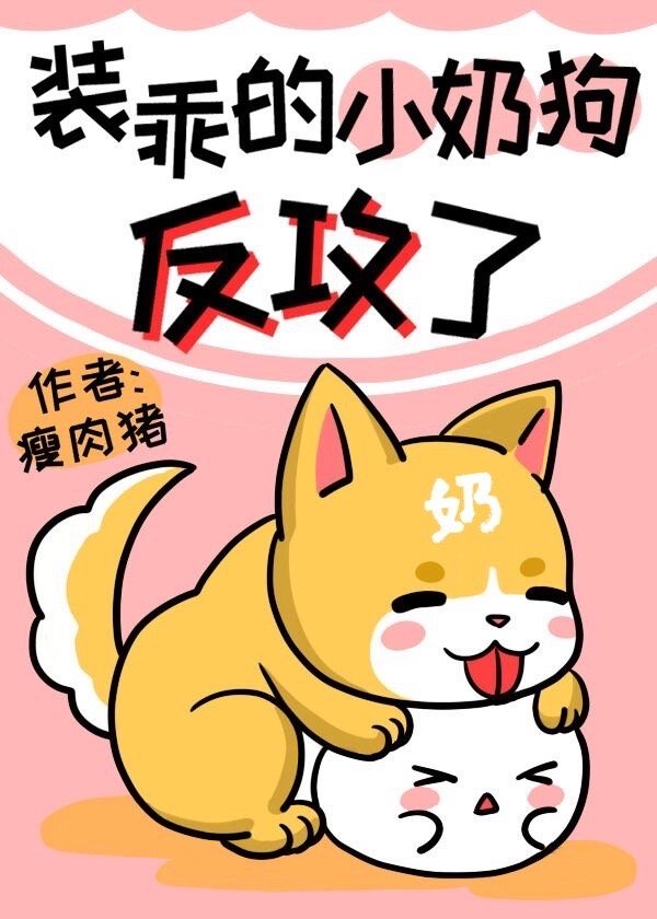 小奶狗是什么品种