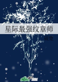 星际最强纹章师小说下载