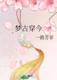 梦古穿今 作者:一路芳菲