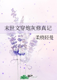 炮灰修仙推文