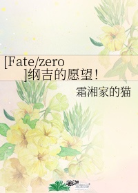 fatezerolancer叫啥