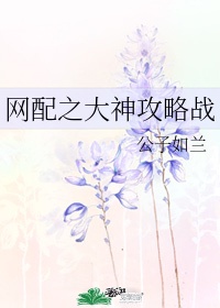 网配之大神攻略战by公子如兰