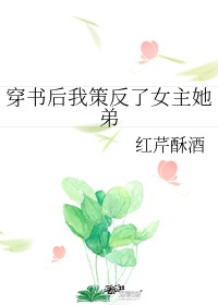 《穿书后我策反了女主她弟》 作者:红芹酥