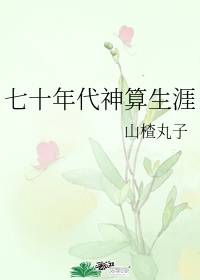 七十年代神算生涯无错