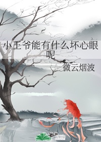 小王爷能有什么坏心眼呢作者