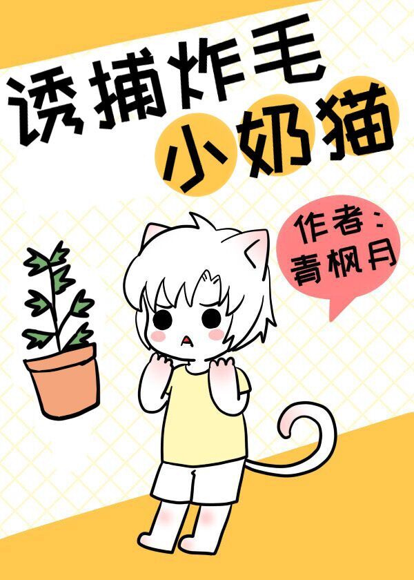 怎么诱捕猫