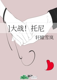 托尼甲的实际战力