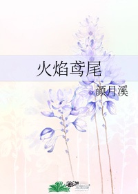 鸢尾花的花语和寓意是什么