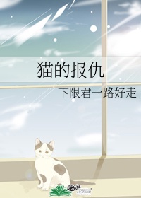 猫 报复