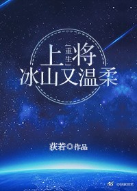 上将小说简介怎么写