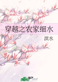 穿越之农家小农女斗o记