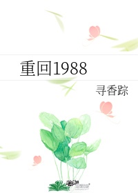 重回1988之it女王月海妖