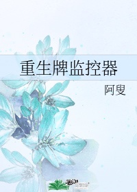 什么牌子监控器好