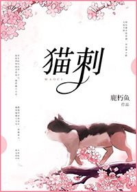 猫刺叶可以养吗有毒吗