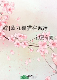 菊丸英二单打