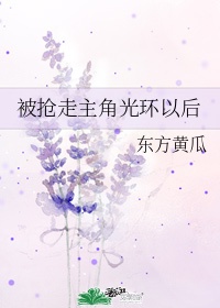 主角光环来了什么意思