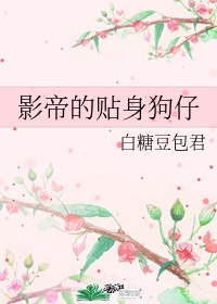 贴身保姆需要做什么