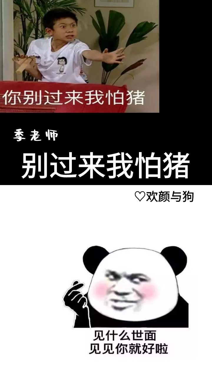 别过来我怕猪什么意思