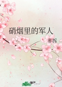 他似火(军婚高干婚恋)笔趣阁讲的什么