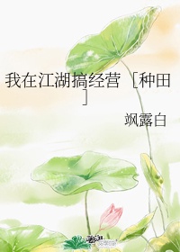 我在江湖做美容 如意茶