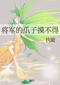 将军的刀一般多重