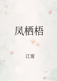 凤栖梧与蝶恋花